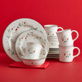Winterberry® 16 Piece Dinnerware Set. Service for 4
